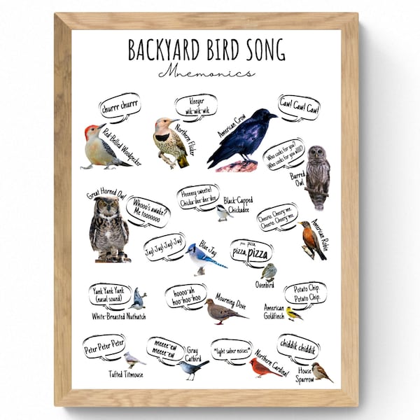 4 SIZES Backyard Bird Song Calls Mnemonics Print-Birding Poster-Educational-Nature Decor-Identification-Wildlife-Woodland-STEM-Chart-Sign