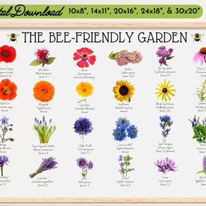 Bee Friendly Garden Print-Top Flowers Pollinators-Save Bees Butterflies-Bloom-Rainbow Gardening Plan-Plants-Educational-Science-Chart-Summer