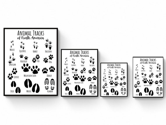 Yiruhe Cartello Decorativo Da Parete Animal Tracks 2498 - Guida Alle Impronte, Design Legno Rustico 20x30 Cm - 2