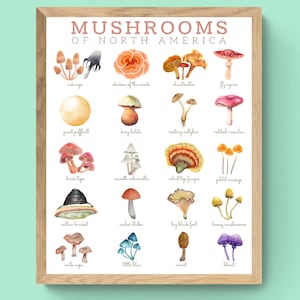 3 SIZES Mushrooms of North America Art-Identification Chart-Woodland Aesthetic-Fungi-Educational-Nature Camp-Science Decor-Spore Print
