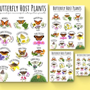 Puede incluir: Un gr&aacute;fico imprimible con ilustraciones de mariposas y sus plantas hospedadoras. El gr&aacute;fico se titula "Plantas hospedadoras de mariposas" e incluye los nombres de las mariposas y las plantas. El gr&aacute;fico es un gran recurso para los jardineros que desean atraer mariposas a sus jardines.