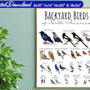 4 SIZES Backyard Birds of North America Chart-Birding Poster-Educational Classroom-Nature Decor-Identification-Wildlife-Woodland-STEM-Print