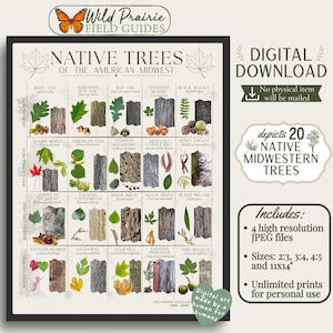 May include: A digital download poster titled Native Trees of the American Midwest by Wild Prairie Field Guides. It features a grid of 20 tree species with illustrations of leaves, bark, and fruit, labeled with common and scientific names.