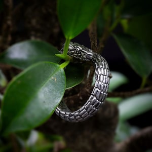 Golden Lancehead Snake 925 Sterling Silver Handmade Ring Serpent Wrap Scales Nature Animal Inspired Jewelry Gothic Band Reptile