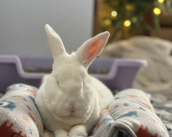 FLEECE Hasenbettchen