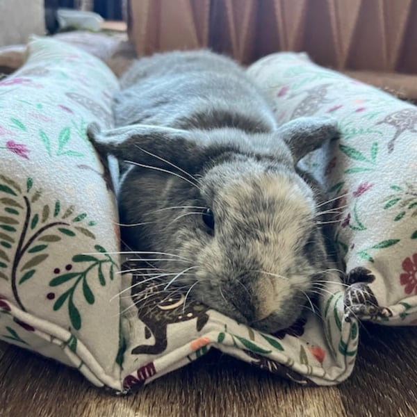 FLANNEL Bunny Bed