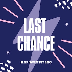 Last Chance Bunny & Cat Beds!