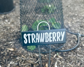 Personalized Metal Garden Markers // Garden Signs // Veggie Garden Markers // Fruit Garden Markers // Herb Garden //  Garden Stakes