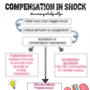 Compensación en estado de shock