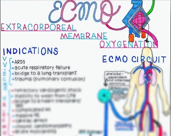 Extracorporeal Membrane Oxygenation (ECMO)