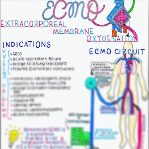 Può includere: Uno schema che spiega l'ossigenazione extracorporea a membrana (ECMO) con un'illustrazione colorata del circuito ECMO. Lo schema include testo che spiega le indicazioni per l'ECMO, tra cui l'insufficienza respiratoria acuta, il ponte a un trapianto di polmone, il trauma e lo shock cardiogeno refrattario.