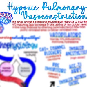May include: A diagram explaining hypoxic pulmonary vasoconstriction, a physiological response to low oxygen levels in the lungs. The diagram shows the process of blood flow diversion from poorly ventilated areas to well-ventilated areas. The text mentions "V/Q matching" and "drug considerations".