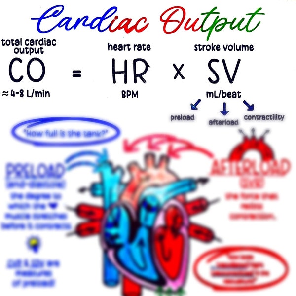 Cardiac Output