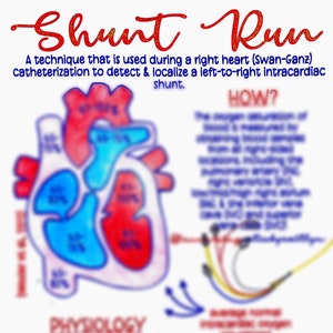 Shunt Run