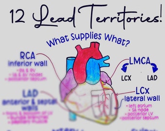 12 Lead ECG Territories