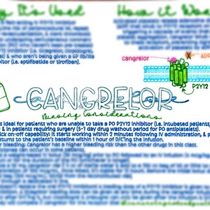 Cangrelor
