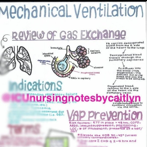 Mechanical Ventilation