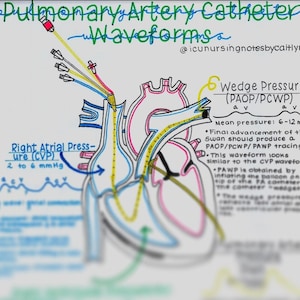 Hemodynamic/Swan-Ganz Catheter Waveforms