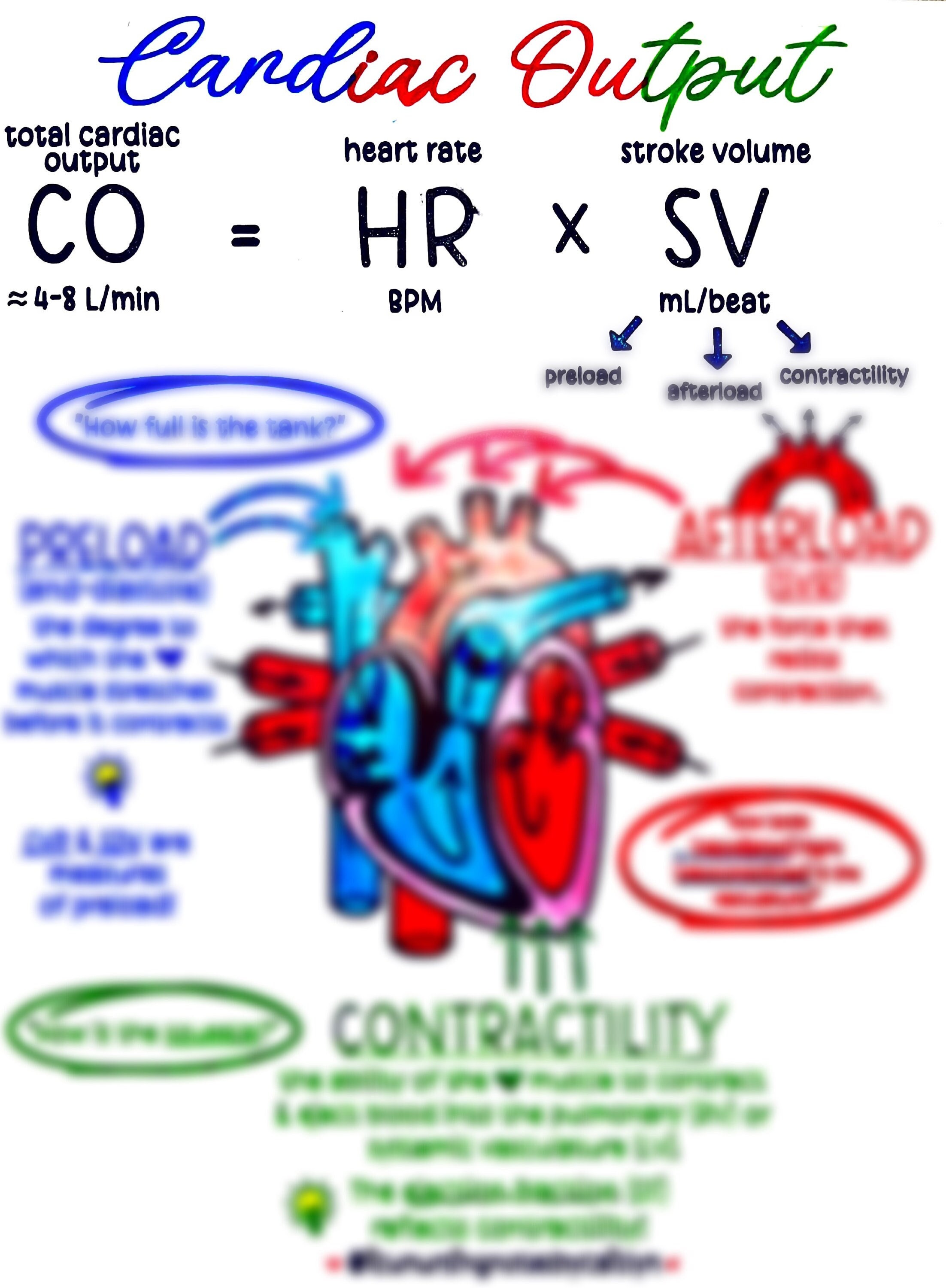 Cardiac Output Etsy