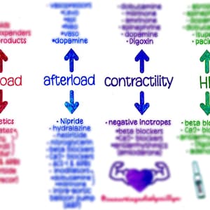 Cardiac Output Physiology