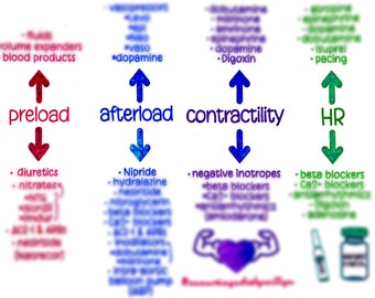 Cardiac Output Physiology