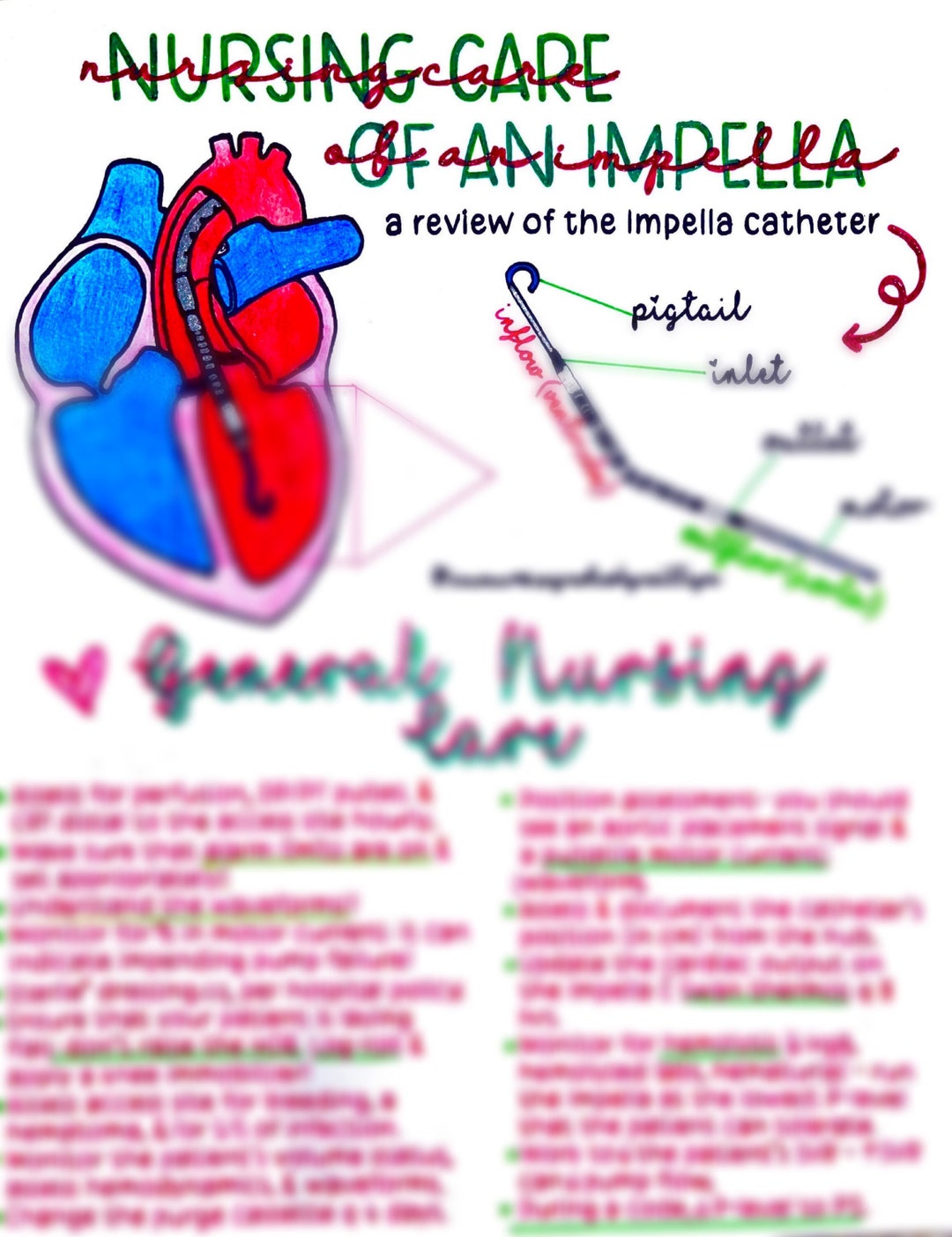 Nursing Care of an Impella Etsy