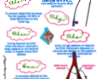 Guaina di riperfusione