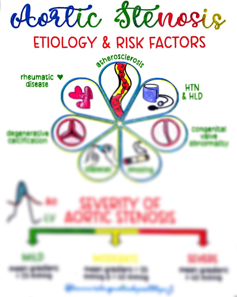 Aortic Stenosis Etiology & Risk Factors - Etsy