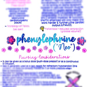 phenylephrine (Neo-Synephrine)