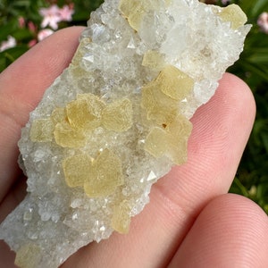 Yellow Fluorite