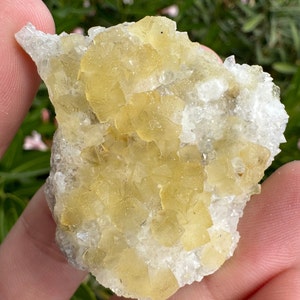 Yellow Fluorite