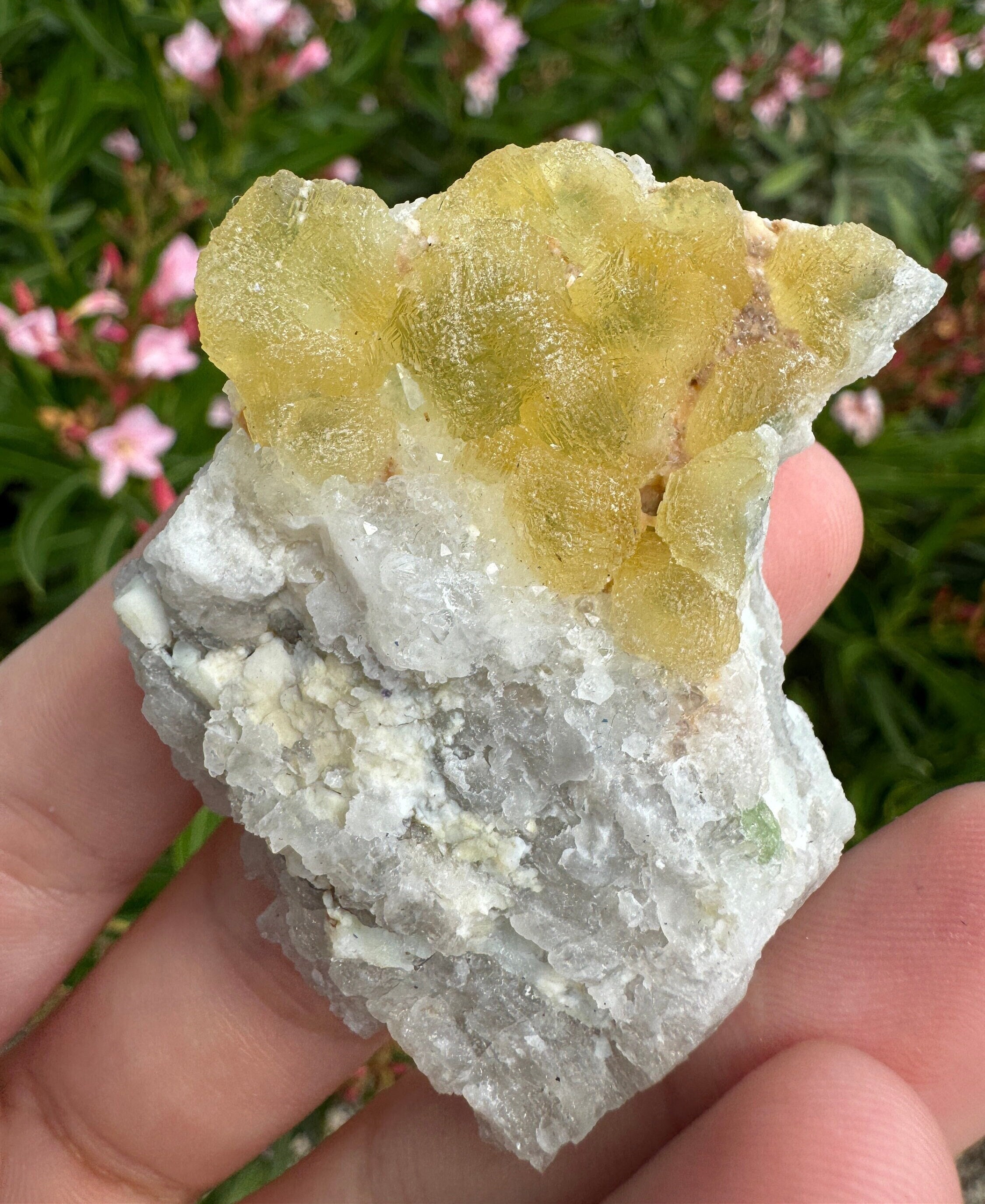 イエローオレンジ フローライト on ドロマイト 母岩付き原石 フローライト / ドロマイト【Fluorite with Dolomite】アメリカ