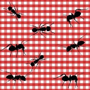 May include: A seamless pattern of black ants on a red and white gingham background.