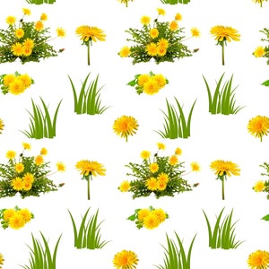 Löwenzahn Frühling Wünsche Unkraut Warme Kinder Blow Flower Blow Gelb Muster Design Sublimation Digital Scrapbooking Papier 12x12