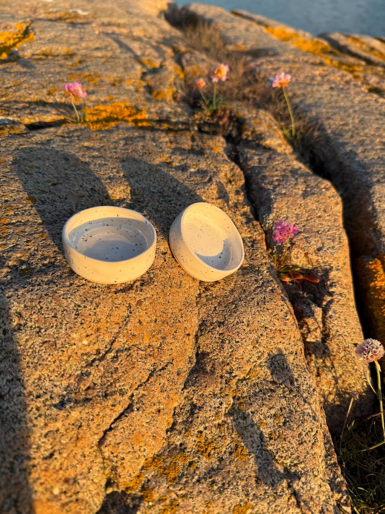 May include: Two small, round, off-white ceramic bowls featuring a speckled pattern with dark grey dots. The bowls have a smooth, glazed finish and a simple, low-profile design. They are positioned side-by-side on a textured, uneven rock surface.