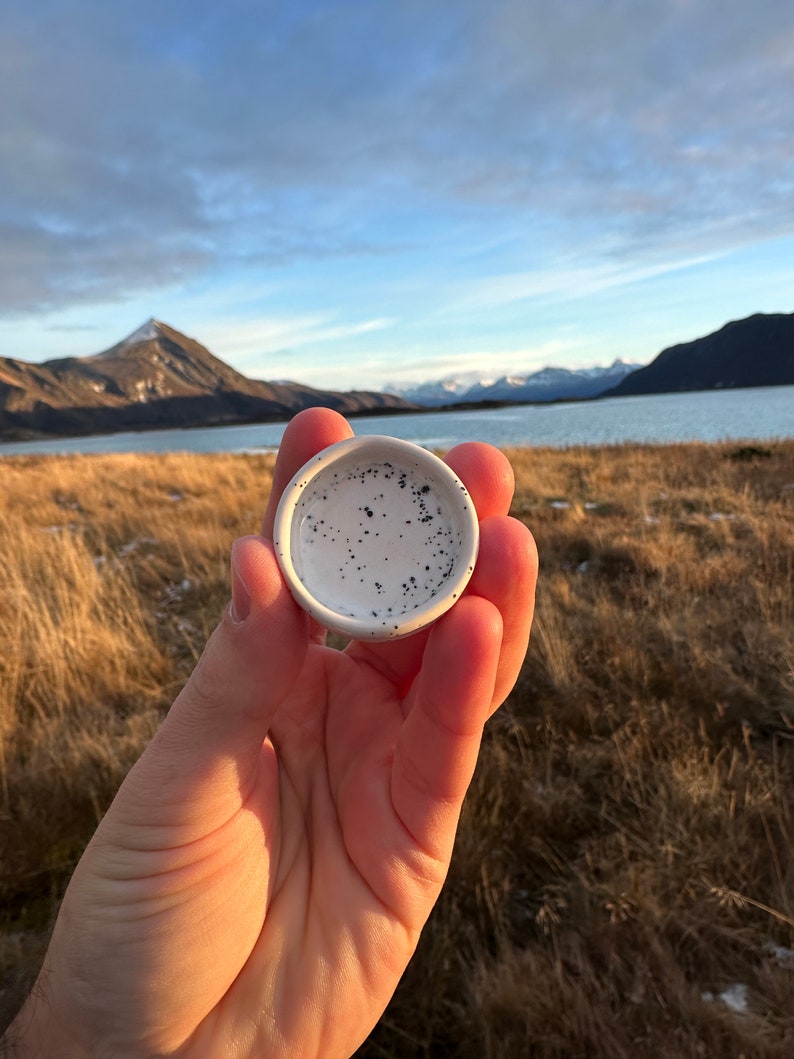 Op de afbeelding: Een klein, rond keramisch schaaltje met een witte glazuurlaag en een gespikkeld patroon van zwarte stippen. Het schaaltje heeft een gladde, afgeronde rand en een ondiepe binnenkant, wat zorgt voor een strak ontwerp met een contrasterende textuur.