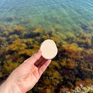 May include: A small, smooth, circular object with a matte, off-white surface. The item has an irregular, organic edge and a flat, disc-like shape, held up against a backdrop of shallow, clear water with visible seaweed and rocky textures.