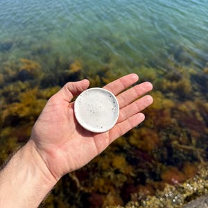 May include: A small, circular white ceramic dish featuring a speckled pattern with tiny black dots distributed across its surface. The dish has a slightly raised rim and a smooth, matte finish, presented as a simple, functional object.
