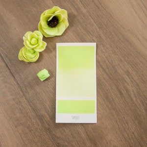 Sprout Matte Watercolor Paint | Quarter Pan, Half Pan, Full Pan | Fine Art, Hand Lettering, Journaling, Calligraphy, Gift for her