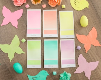 Metamorphosis | 6  Watercolor Paint Set | Quarter Pan, Half Pan, Full Pan | Fine Art, Hand Lettering, Calligraphy, Gift for Her