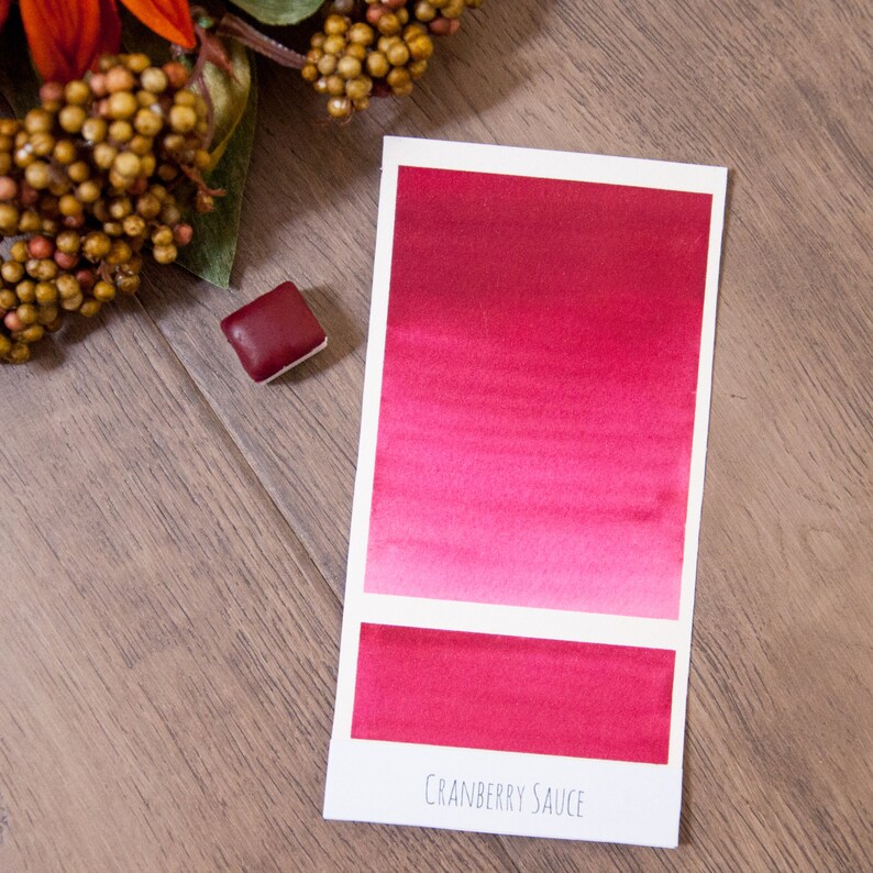 May include: A watercolor paint swatch card with a gradient of cranberry sauce color. The card has the text "CRANBERRY SAUCE" printed at the bottom. A small, square watercolor pan is also shown.