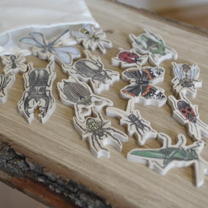 MM woodworks Wooden Bugs set 15 pcs
