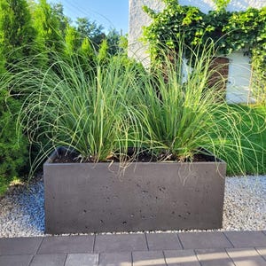 Op de afbeelding: Een rechthoekige, donkergrijze betonnen plantenbak gevuld met hoge, groene siergrassen. De plantenbak staat op een bed van kleine, witte kiezels, met een achtergrond van groen gebladerte en een wit gebouw.