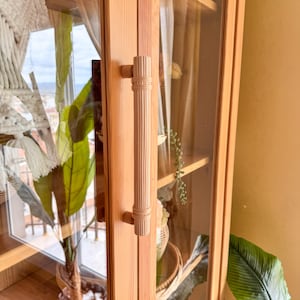 Può includere: Un mobile in legno con anta in vetro e maniglia verticale decorativa. La maniglia è marrone chiaro con un design scanalato. Il mobile è in legno chiaro e ha una finitura naturale. L'interno del mobile è visibile attraverso il vetro.