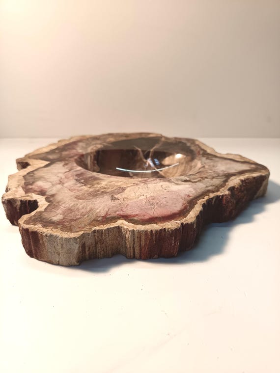 Vintage Catchall Tray Made of Fossil Wood - Etsy