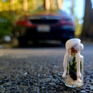 May include: A small glass jar with a white wax seal and a green plant inside. The jar is sitting on a dark gray surface.