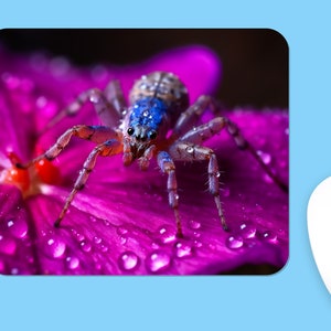 Tiny SPIDER MOUSEPAD, Soft Polyester Mouse Pad, Premium Printing, Long-Lasting Colors, Unique Design, Thoughtful Gift