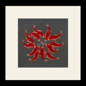 May include: A painting of a circular arrangement of red koi fish, each with white-tipped fins, swimming around a cluster of small pink flowers. The background is a muted gray, and the artwork is framed in a white border.