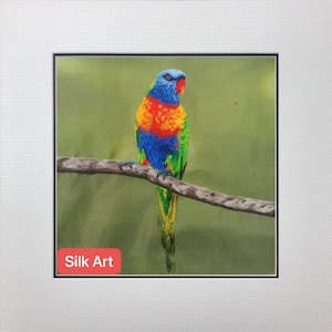 King silk art handmade embroidery wildlife bird parrot Rainbow lorikeet 31153