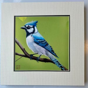 King silk art handmade embroidery art Blue jay 31533
